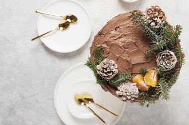 Çam kozalaklarıyla süslenmiş Noel pastası ve arka planda çam ağacı, seçici odak görüntüsüyle tepeden aşağı manzara