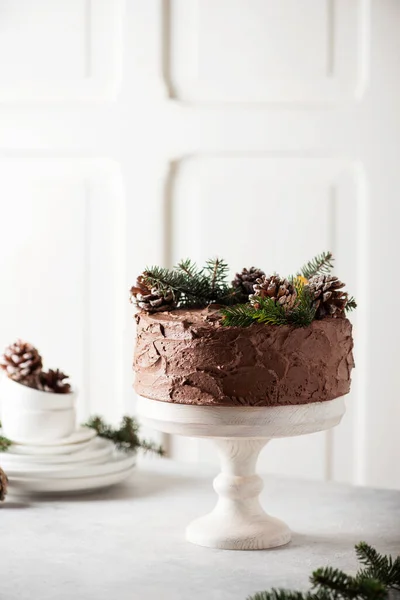 Pastel Navidad Con Chocolate Decorado Con Conos Pino Pino Sobre — Foto de Stock