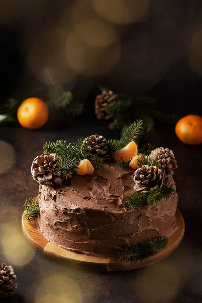 松のコーンと松の木で飾られたチョコレートとクリスマスケーキ 選択的な焦点画像 — ストック写真