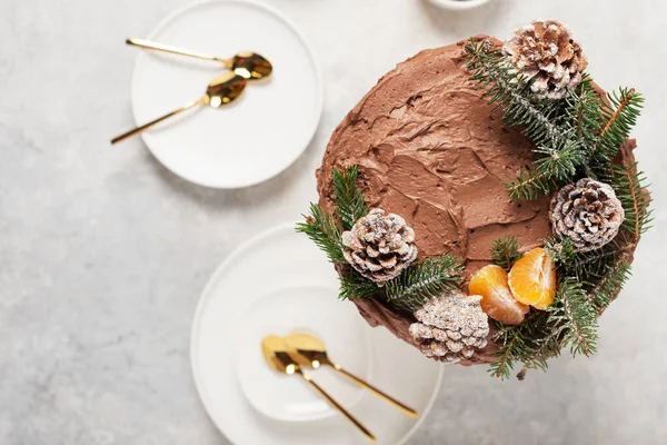 Weihnachtskuchen Mit Schokolade Dekoriert Mit Tannenzapfen Und Kiefer Auf Hellem — Stockfoto