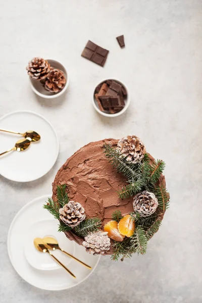 Рождественский Торт Шоколадом Украшенный Сосновыми Шишками Соснами Светлом Фоне Вид — стоковое фото
