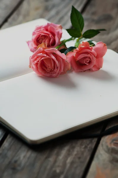 Elegantes offenes Buch mit rosa Rosen — Stockfoto