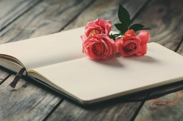 Elegant open book with pink roses — Stock Photo, Image