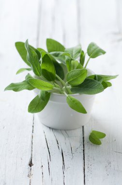 Ahşap masa üzerinde taze yeşil adaçayı