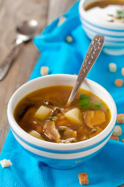 Soep met champignons en groenten — Stockfoto