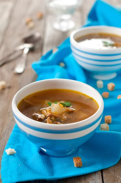 Вегетарианский суп с грибами — стоковое фото