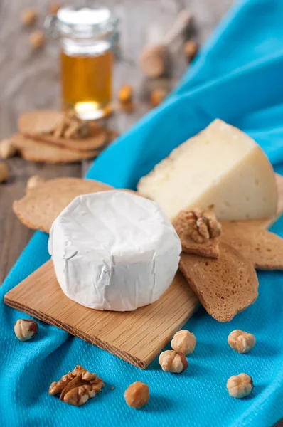 Cheese, bread, nuts and honey — Stock Photo, Image