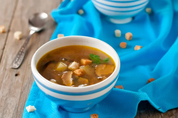 Sopa con champiñones y verduras —  Fotos de Stock