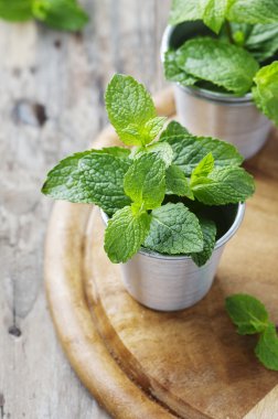 Tahta masada yeşil taze nane.