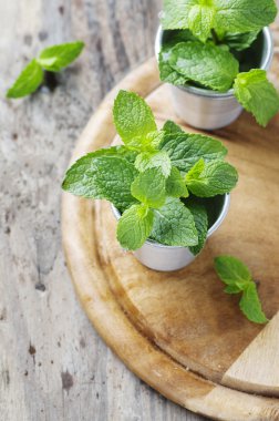 Tahta masada yeşil taze nane.