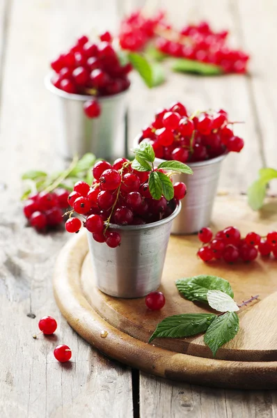 Ribes rosso fresco in tavola — Foto Stock