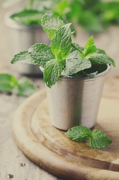 Menta fresca verde en la mesa de madera — Foto de Stock