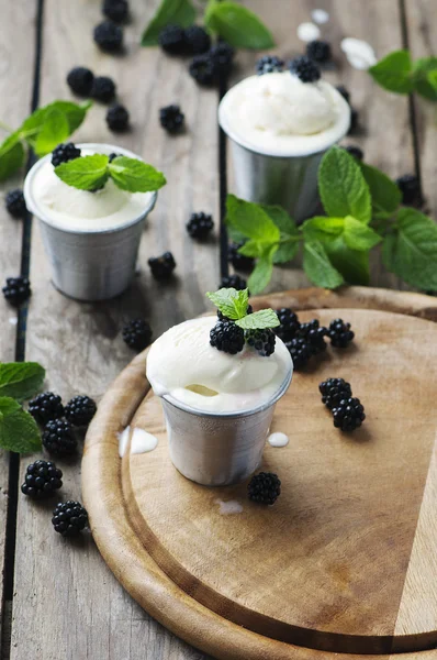 Delicious ice cream with berries — Stock Photo, Image