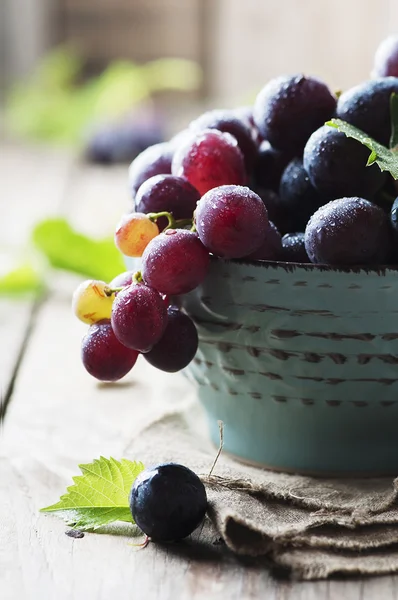 Rote süße Traube — Stockfoto