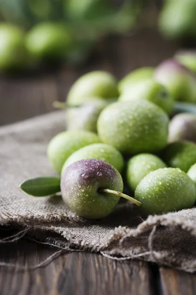 Raw olives for making oil — Stock Photo, Image