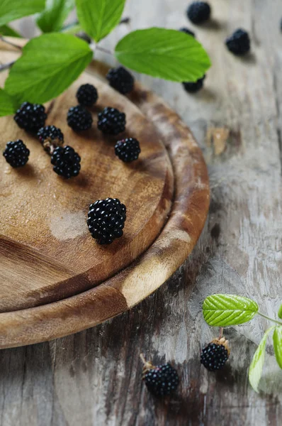 鲜甜黑莓 — 图库照片