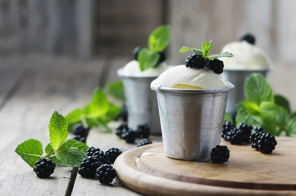 果実とおいしいアイスクリーム — ストック写真
