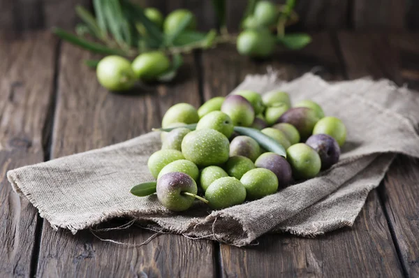 Raw olives for making oil — Stock Photo, Image