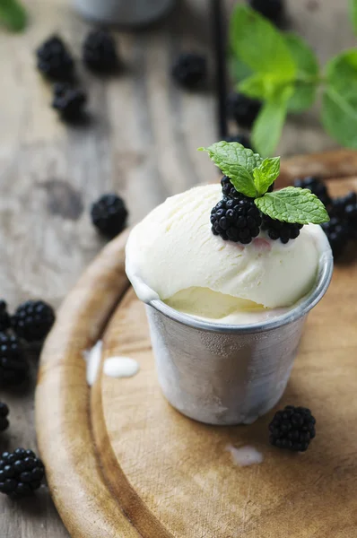 Delicioso helado con bayas — Foto de Stock