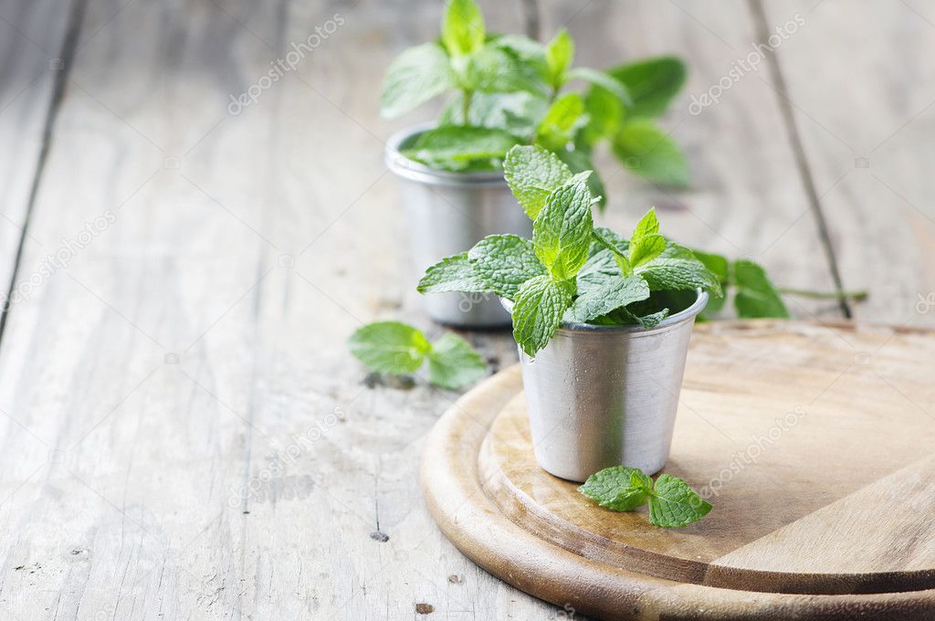 Green fresh mint on table