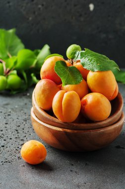 Masanın üzerine taze tatlı kayısı