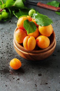 Masanın üzerine taze tatlı kayısı