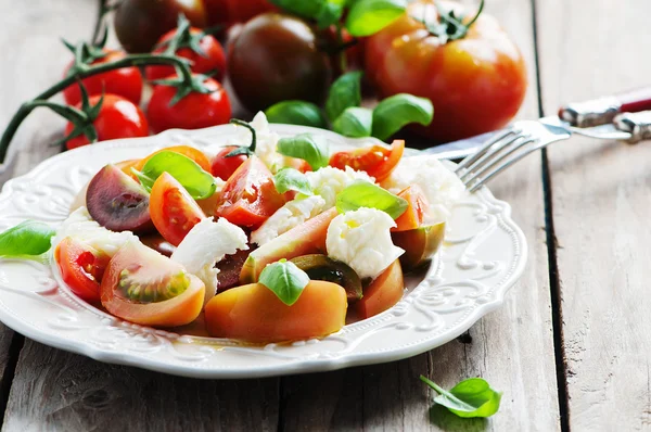 Antipasto caprese italiano tradicional — Foto de Stock