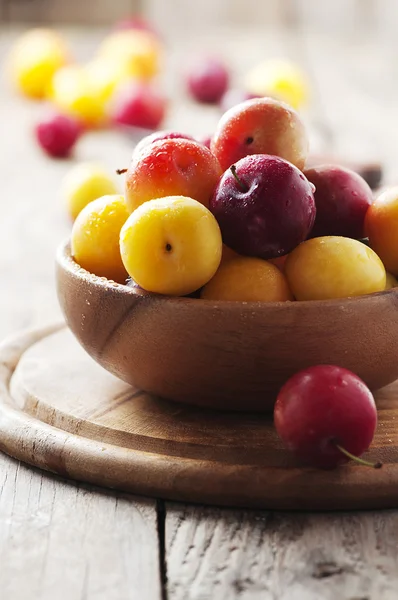 Yellow and red sweet plums — Stock Photo, Image