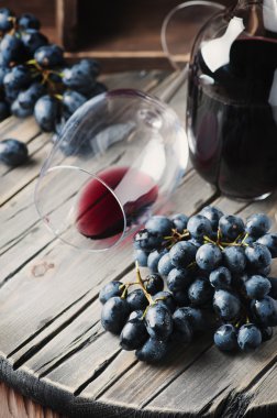 Taze üzüm ve kırmızı şarap