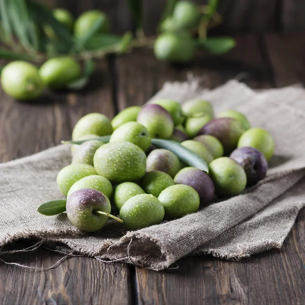 Raw olives for making oil — Stock Photo, Image