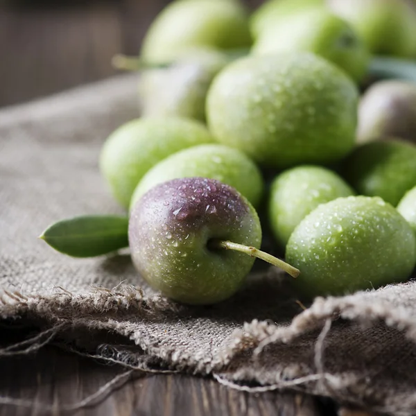 Raw olives for making oil — Stock Photo, Image