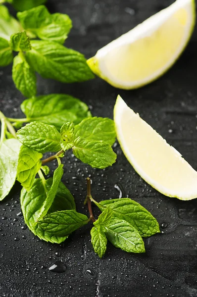 Limón fresco y menta verde — Foto de Stock