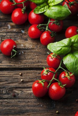 Taze tatlı domates ve yeşil fesleğen