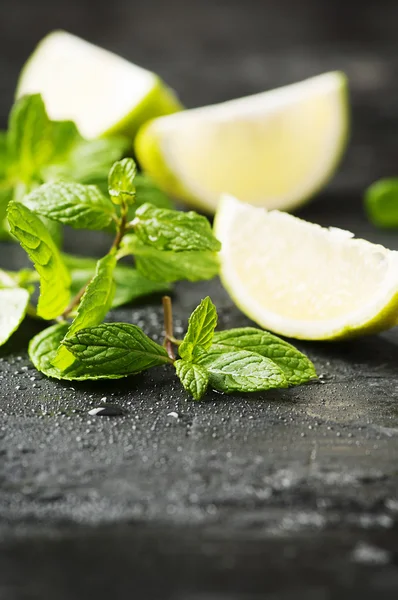 Limão fresco e hortelã verde — Fotografia de Stock