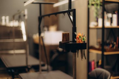 Makas ve fırça da dahil olmak üzere tımar aletleri, temiz bir evcil hayvan bakım salonundaki tezgahta, çalışmaya hazır.