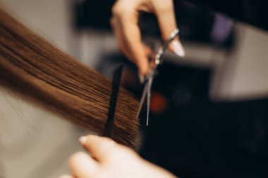 Profesyonel stilistin elleri uzun kahverengi saçları makasla tarıyor ve buduyor, hassas saç kesimine odaklanıyor.