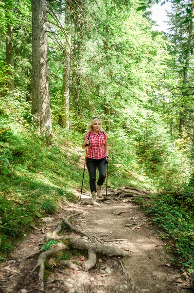 Rubia excursionista en un bosque —  Fotos de Stock