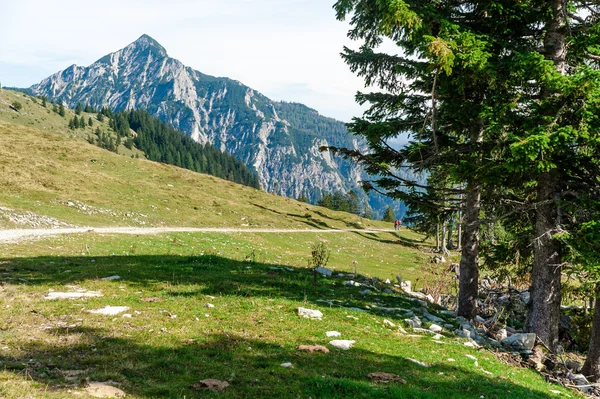 Wanderweg in den Alpen — Stockfoto