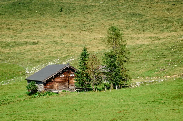 Cabane traditionnelle dans les Alpes autrichiennes — Photo