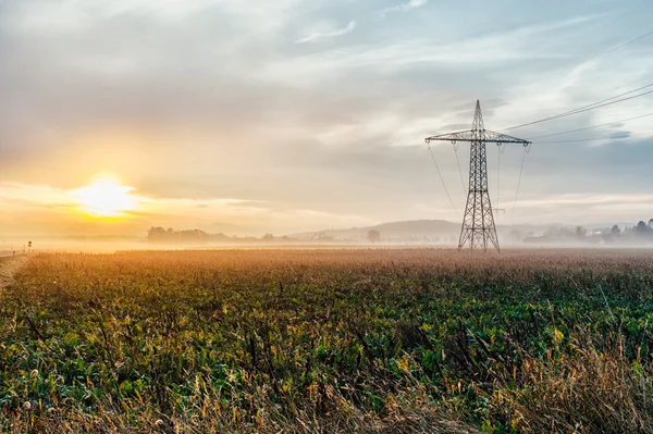 Electric power lines and pylons at sunset — Stock Photo, Image