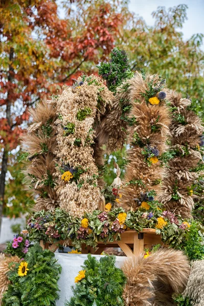 Erntekrone — Stockfoto