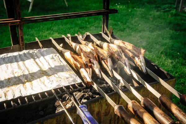 Vissen op stick op een grill — Stockfoto