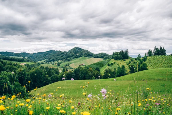 Styria içinde yatay — Stok fotoğraf