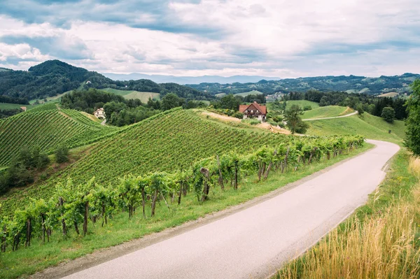 Vinařská stezka v jižním Štýrsku Royalty Free Stock Fotografie
