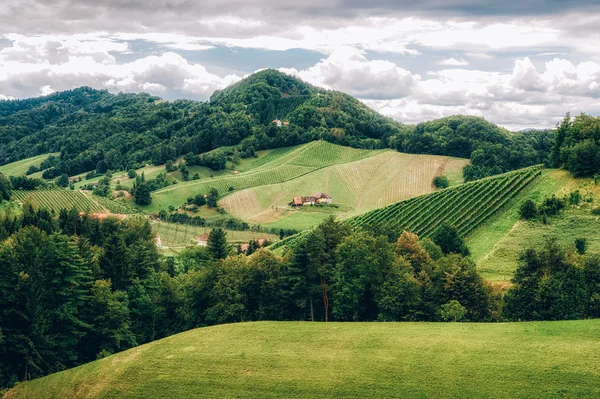 Güney Steiermark peyzaj — Stok fotoğraf