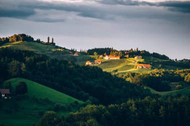 Güney Steiermark girsin