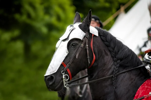 Caballo Guerra Montado Por Caballero Una Armadura Pesada Con Cangrejo —  Fotos de Stock