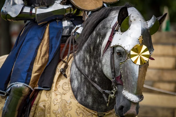 Kriegspferd Bestiegen Von Einem Ritter Schwerer Rüstung Der Ein Chanfron — Stockfoto