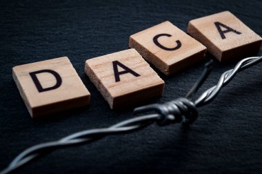 DACA kısaltması olan harflerin yanında dikenli tel olan çocuk geliş konsepti için tedbir. DACA, çocukken Amerika 'ya getirilen göçmenleri koruyan bir yasa tasarısıdır.