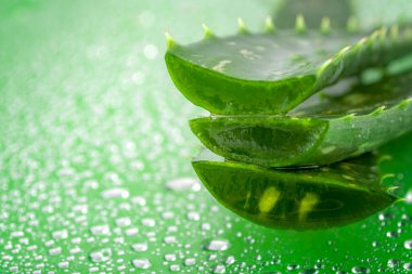 Doğal güzellik ürünleri ve makro yakın bir aloe vera bitki yaprağı ile bitki temelli klinik tedavi konsepti ve ıslak yeşil arka planda izole edilmiş su damlaları ile fotokopi alanı ile ıslanmış jel.